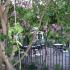 Appartements Popovic-Risan, (STD) - Studio apartman br.1, Privatunterkunft im Ort Risan, Montenegro - Terasa br.2 